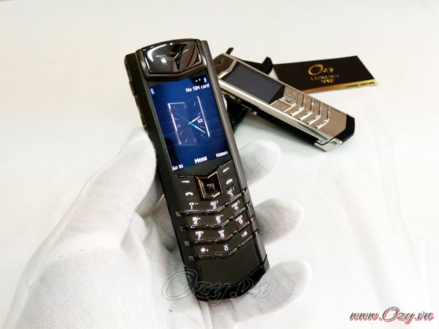 vertu-chinh-hang-da-ca-sau